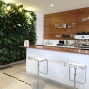 Vertical Live Plant Installations | Hire Plants gallery detail image