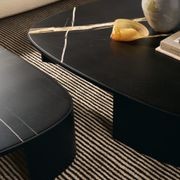 Koishi Coffee Table gallery detail image