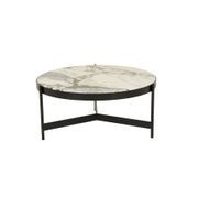 Venus Coffee Table gallery detail image