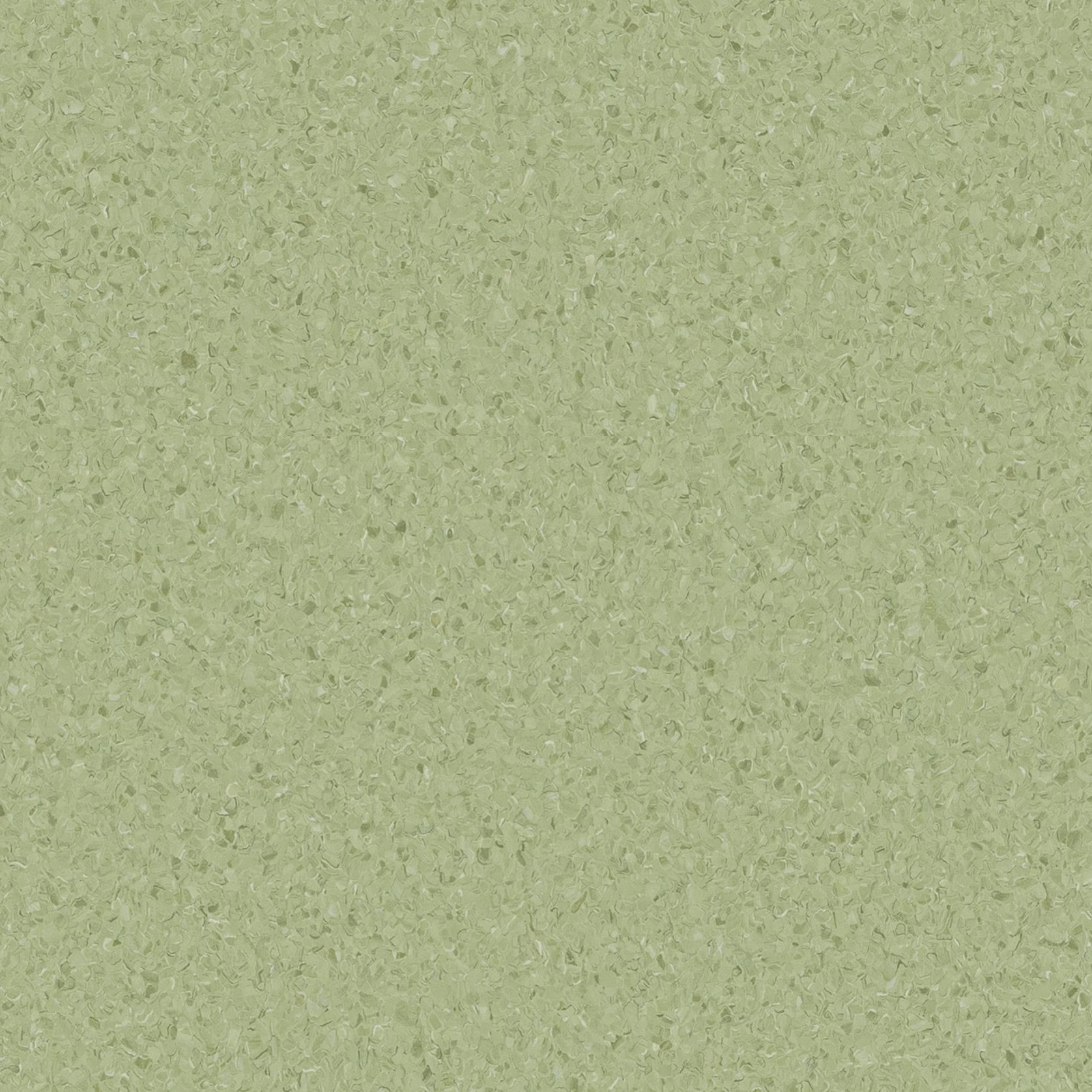 Accolade Plus | Casaurina gallery detail image