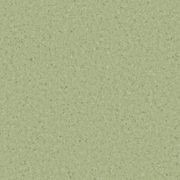 Accolade Plus | Casaurina gallery detail image