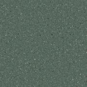 Accolade Plus | Moreton Fig gallery detail image