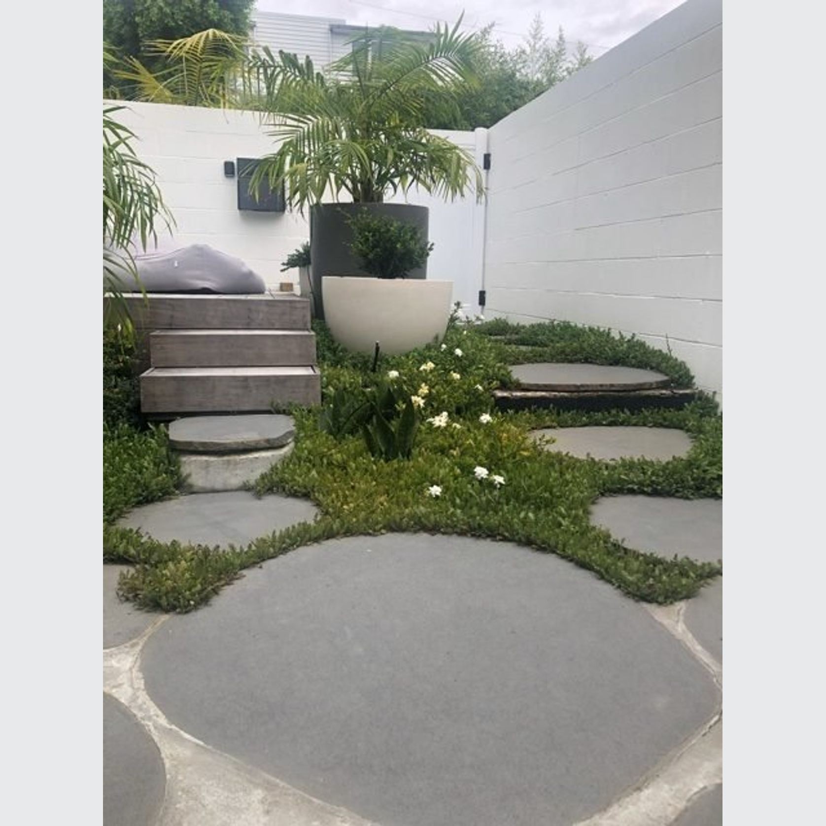 Steppers gallery detail image