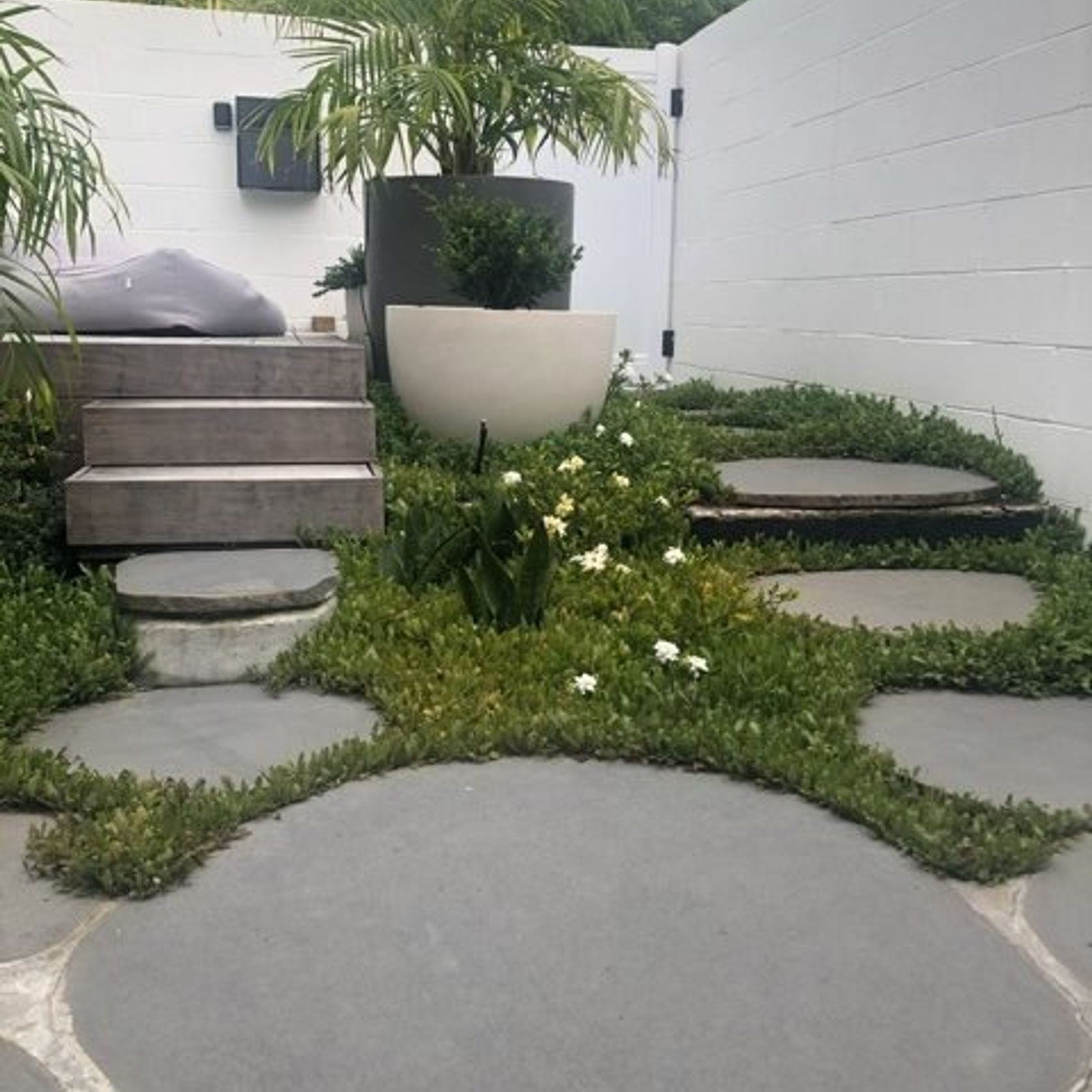 Steppers gallery detail image