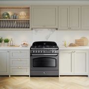 Falcon Classic FX 90cm Dual Fuel Range Cooker gallery detail image