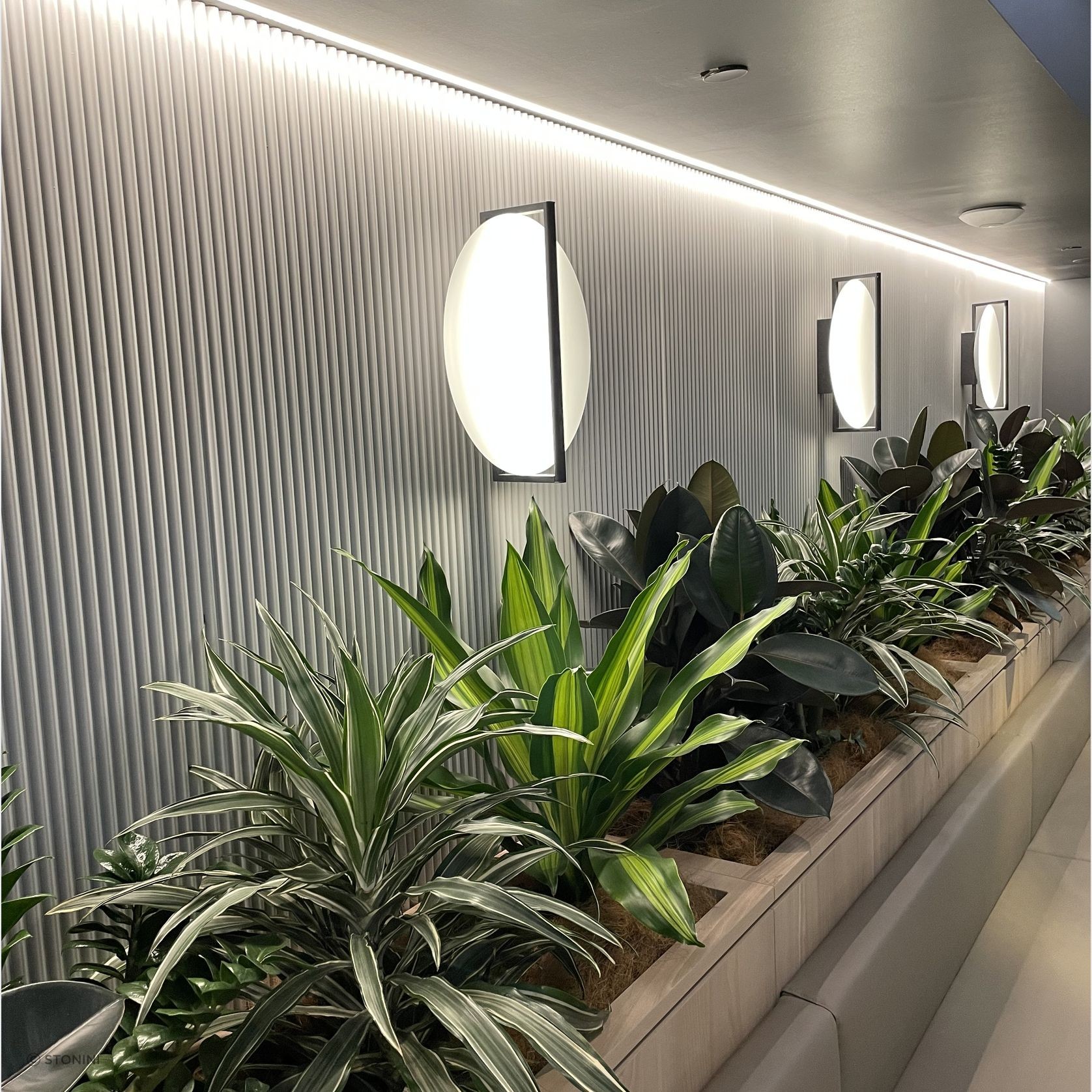 Pitted Flautas Raw 3D Panel gallery detail image