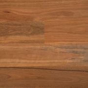 EP112 Spotted Gum gallery detail image