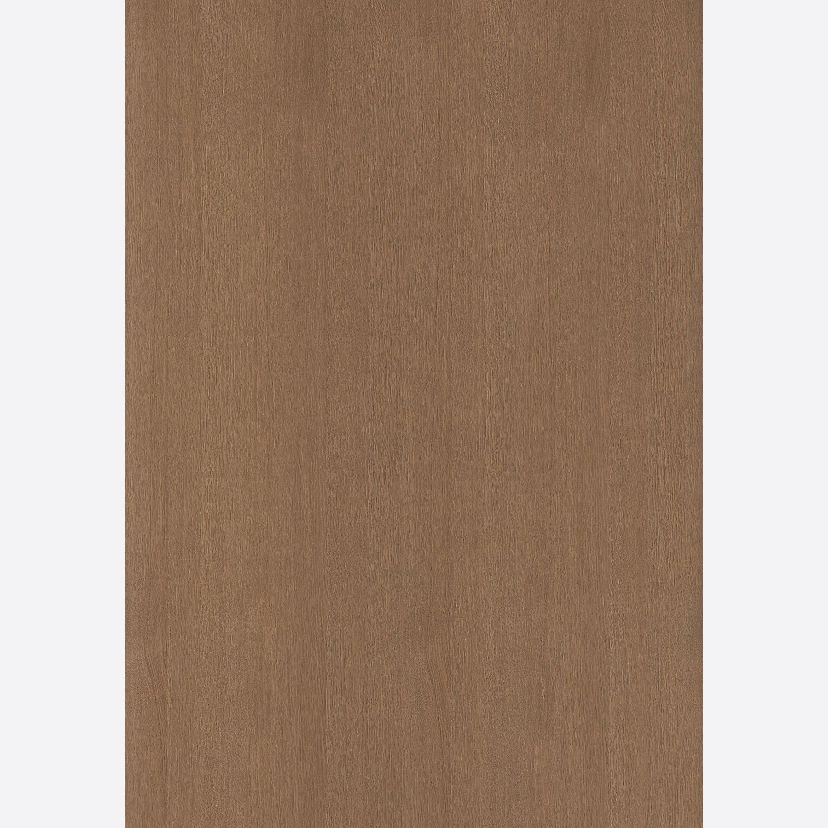 HW31006 Bayonne 19mm Timber Veneer gallery detail image