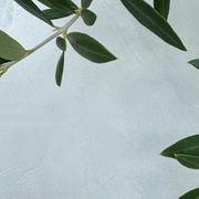 Microsilk Microcement | Apollo Grey gallery detail image