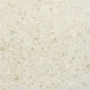 Concrete Paving - Terrazzo Range gallery detail image