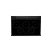 Falcon Professional+ 90cm Induction Range Cooker gallery detail image
