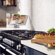 Falcon | Nexus Steam 110 Range Cooker gallery detail image