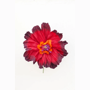 Two Toned Crepe Paper Flower gallery detail image