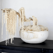 Ivory Moss Bonsai Tree gallery detail image