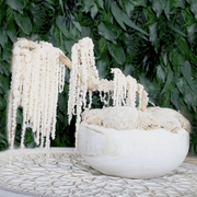 Ivory Moss Bonsai Tree gallery detail image