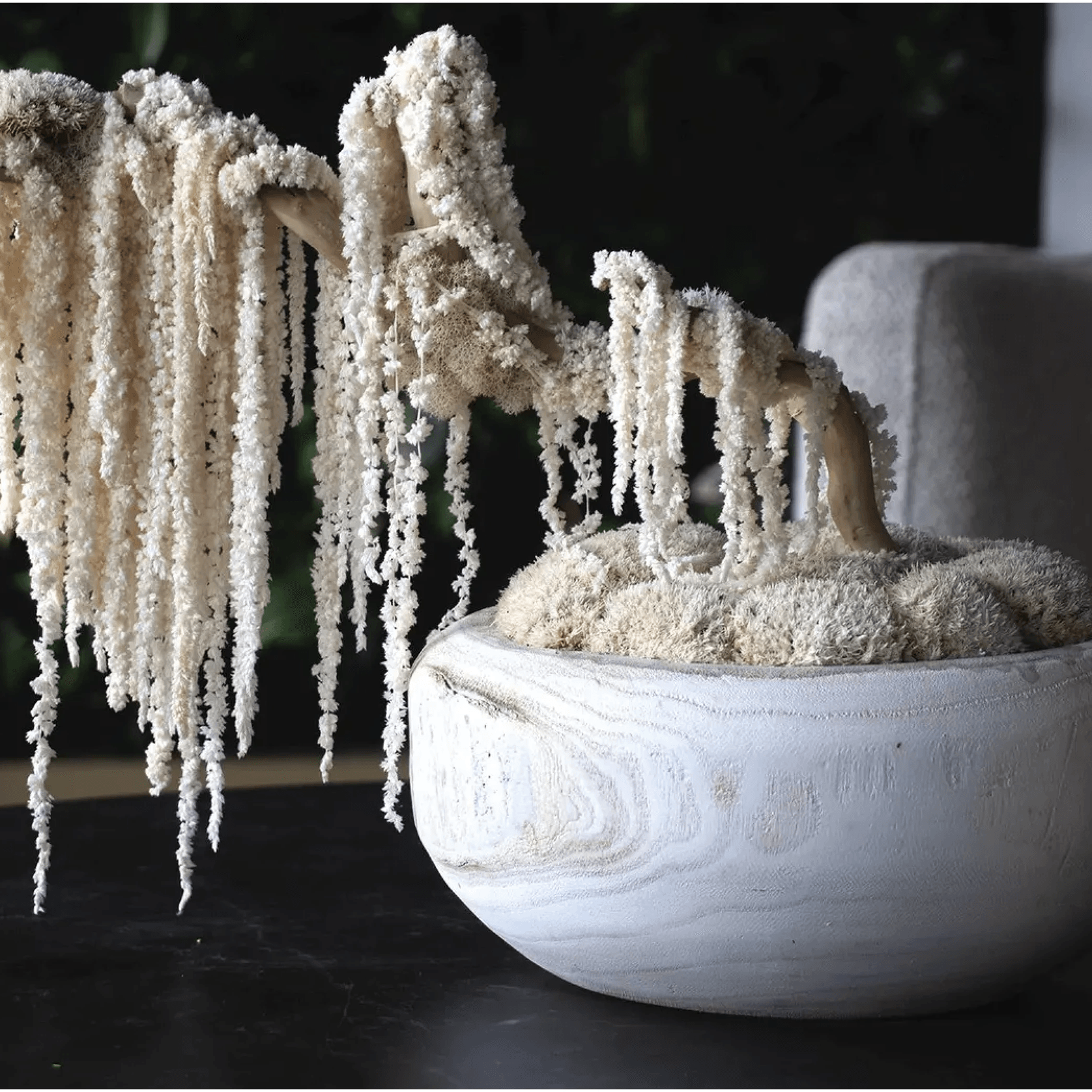 Ivory Moss Bonsai Tree gallery detail image