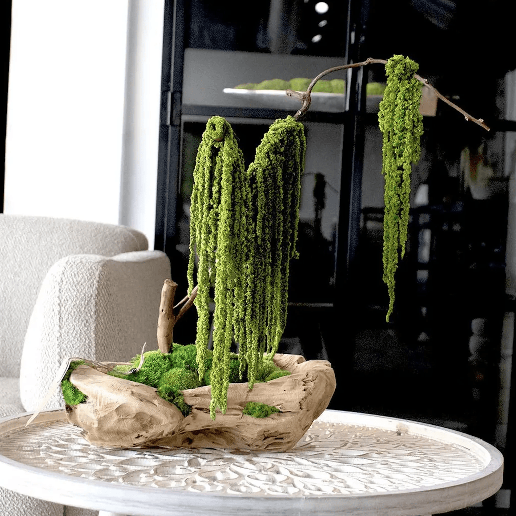 Green Moss Bonsai Tree gallery detail image