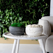 Sahara Moss Bowl gallery detail image