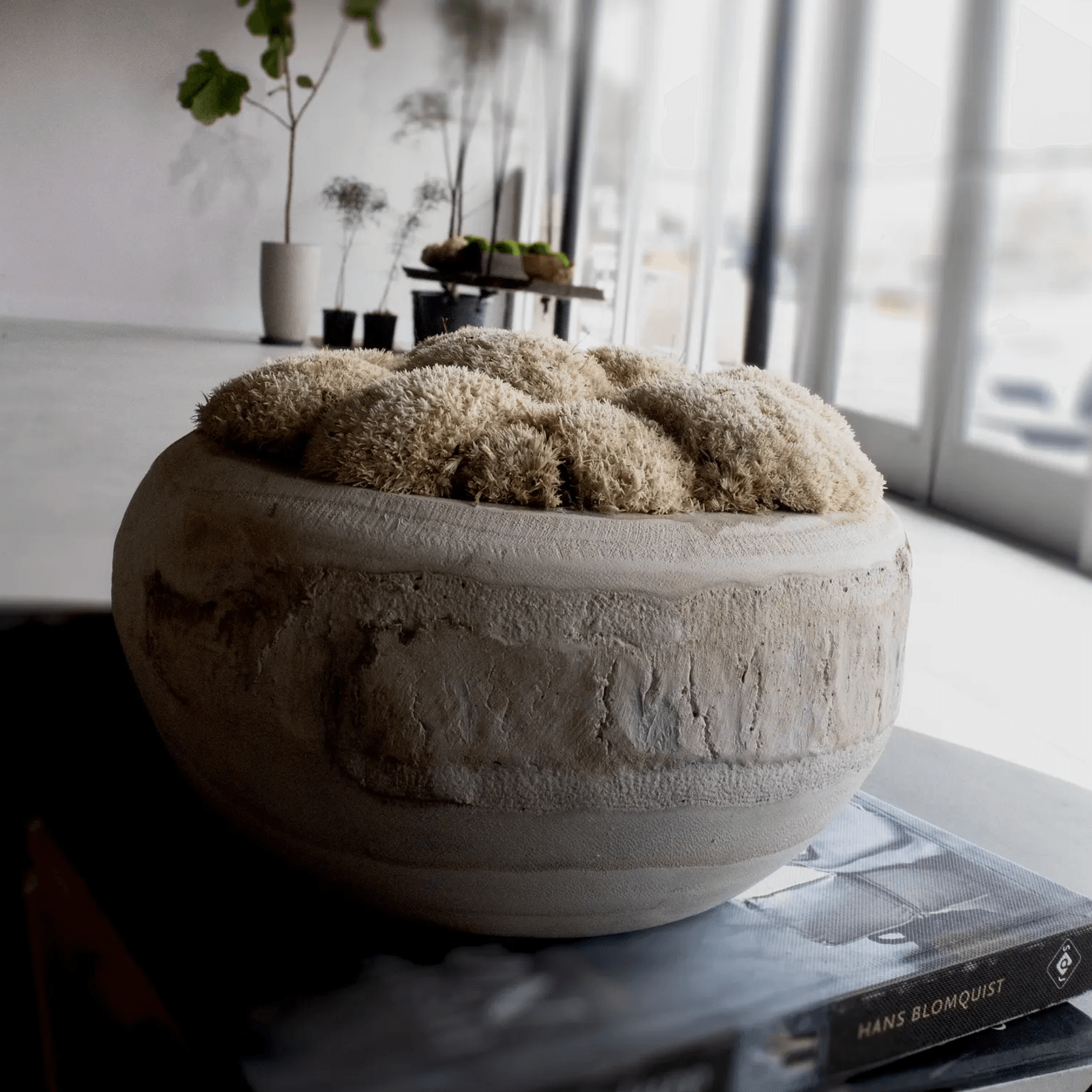 Sahara Moss Bowl gallery detail image