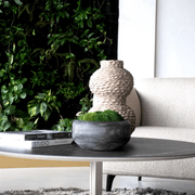 Sahara Moss Bowl gallery detail image