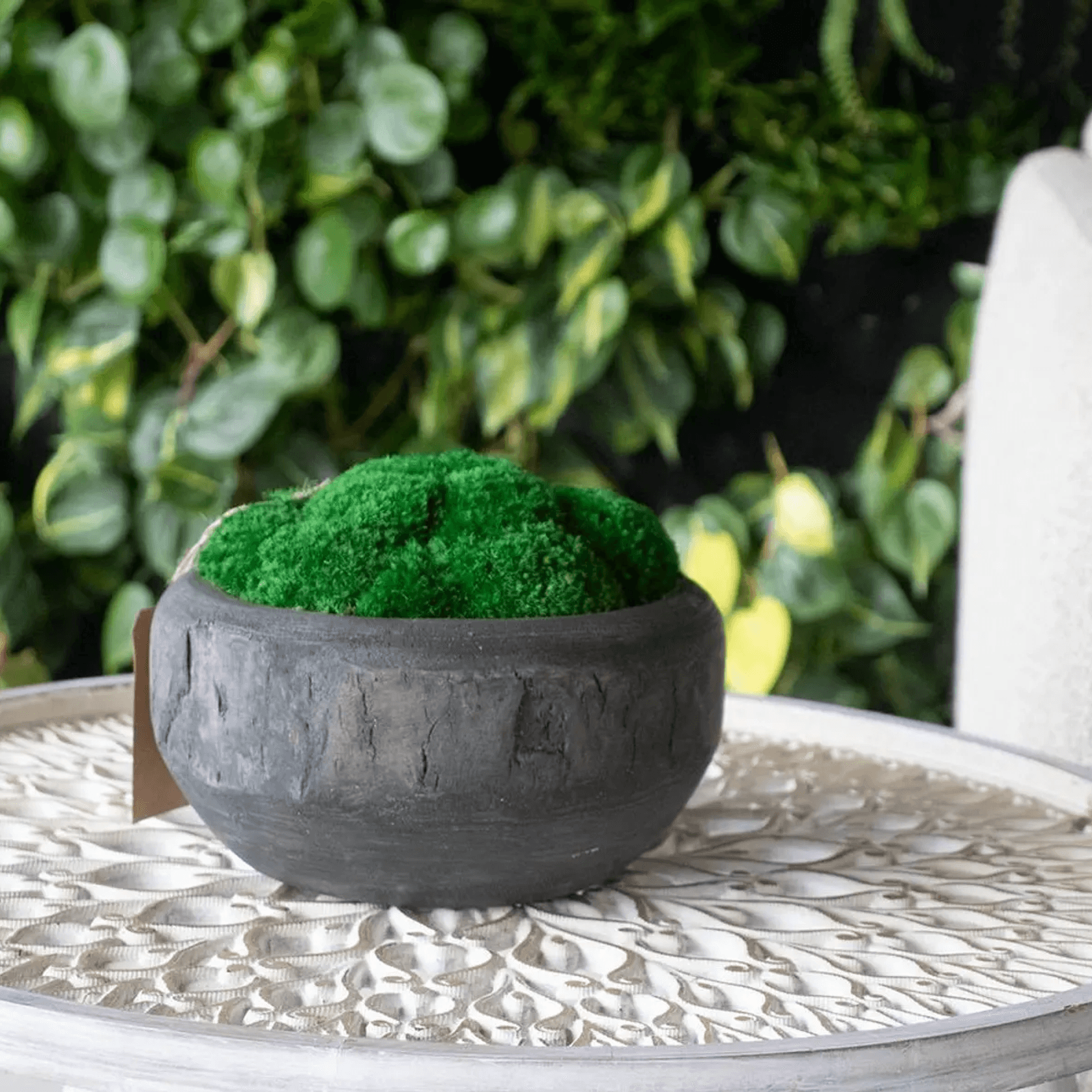 Sahara Moss Bowl gallery detail image