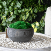 Sahara Moss Bowl gallery detail image