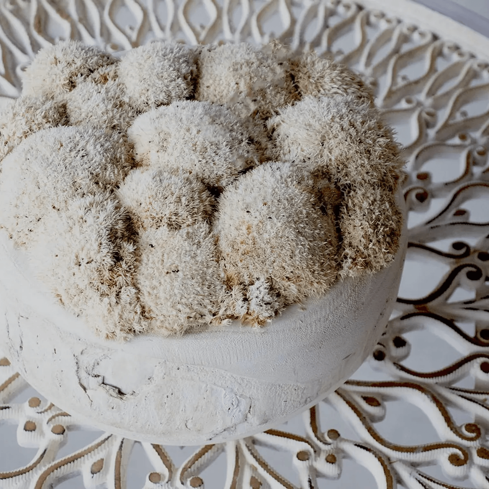 Sahara Moss Bowl gallery detail image