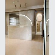 Venice (Stucco Veneziano) | Venetian Plaster gallery detail image