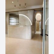 Venice (Stucco Veneziano) | Venetian Plaster gallery detail image