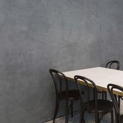 SuaveStone Polished Plaster gallery detail image