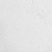 SuaveStone Polished Plaster gallery detail image