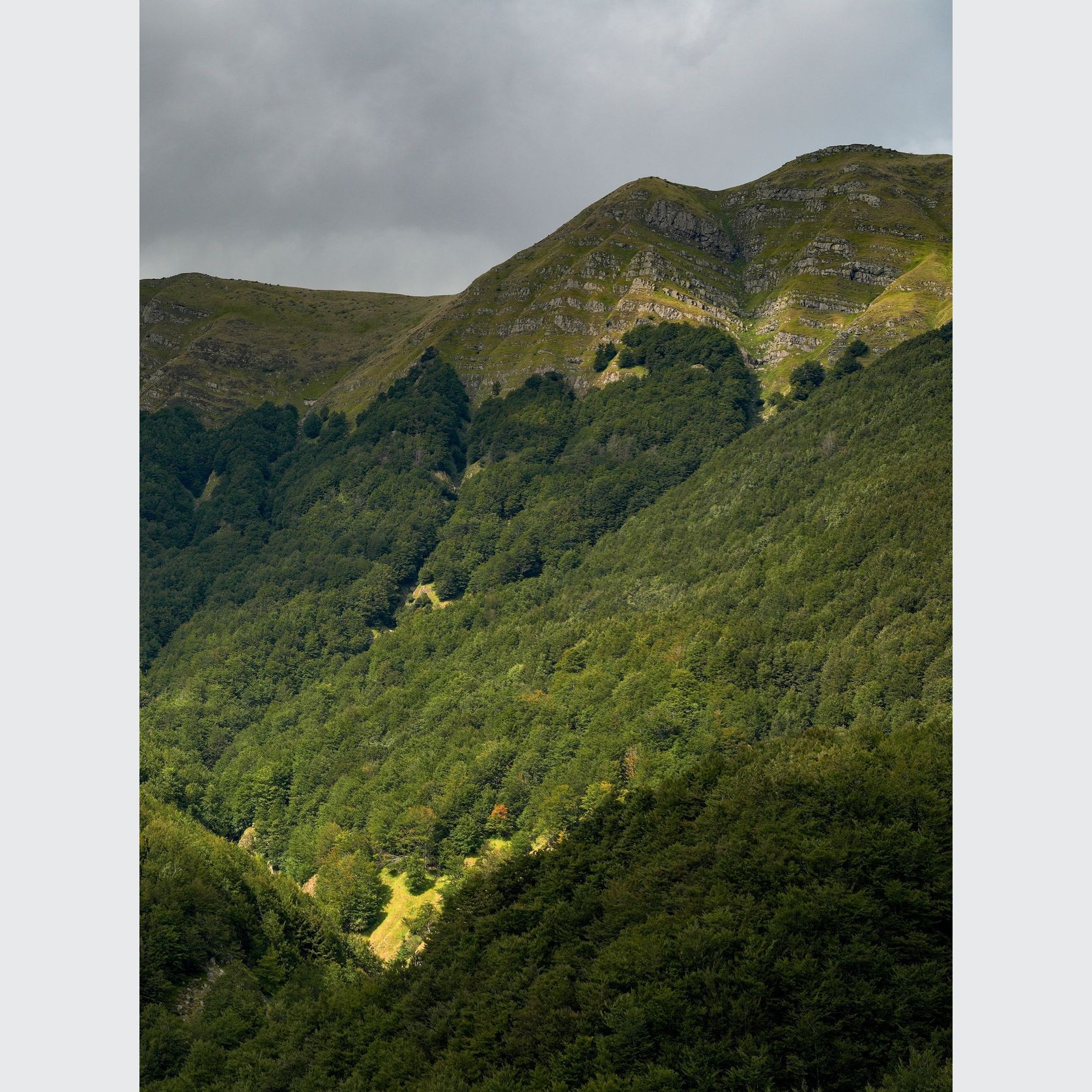 Sensi Colore | Porcelain Tiles gallery detail image