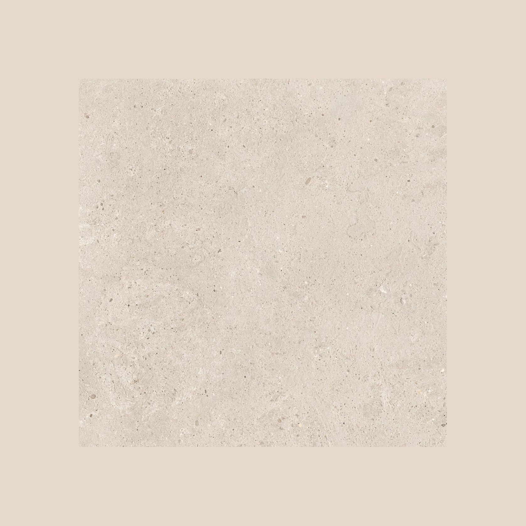 Moonlit gallery detail image