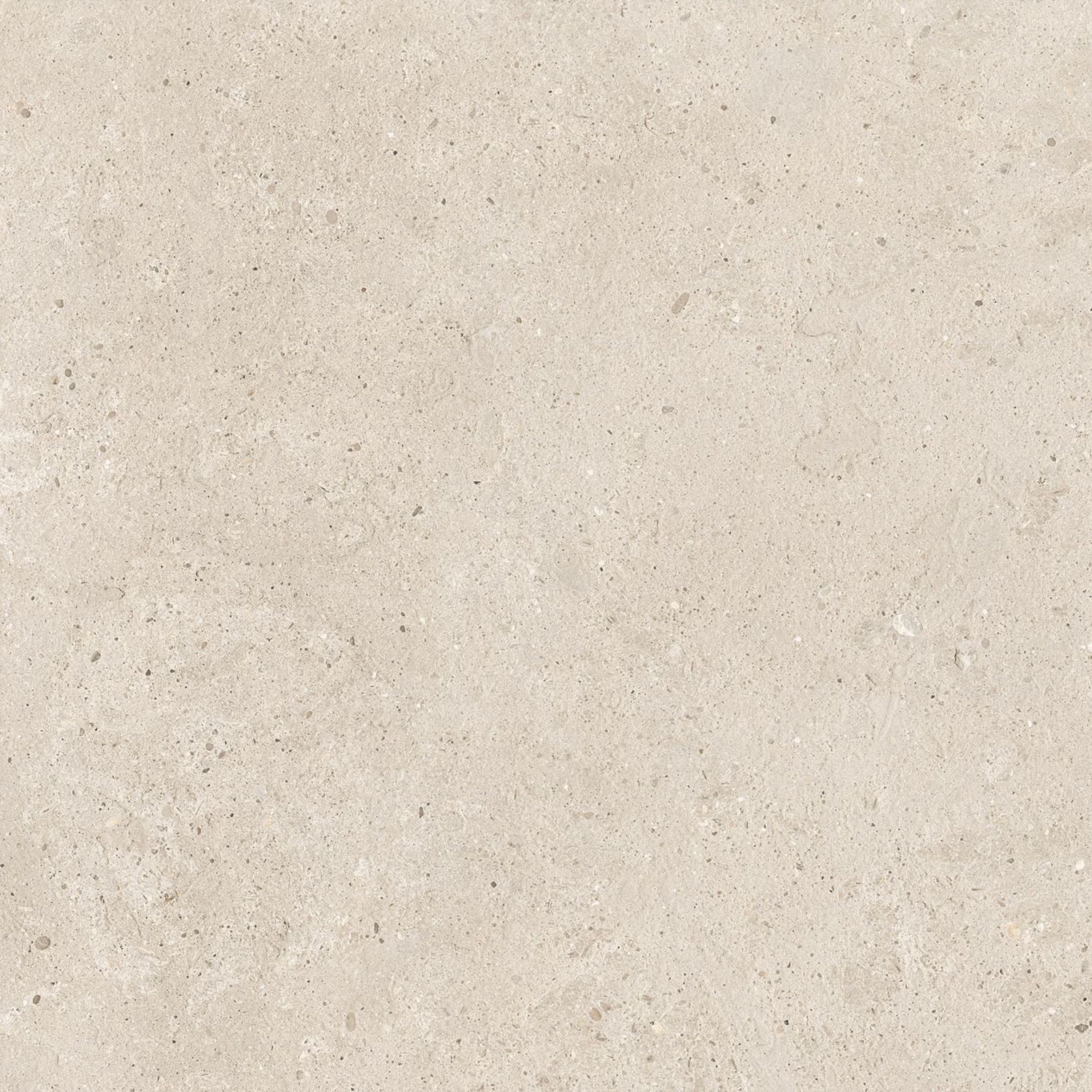 Moonlit gallery detail image