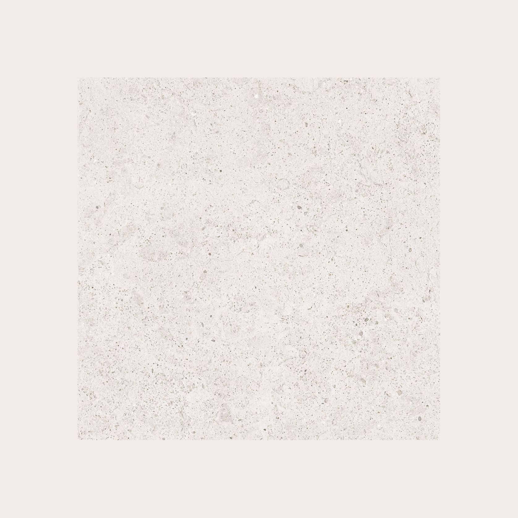 Moonlit gallery detail image