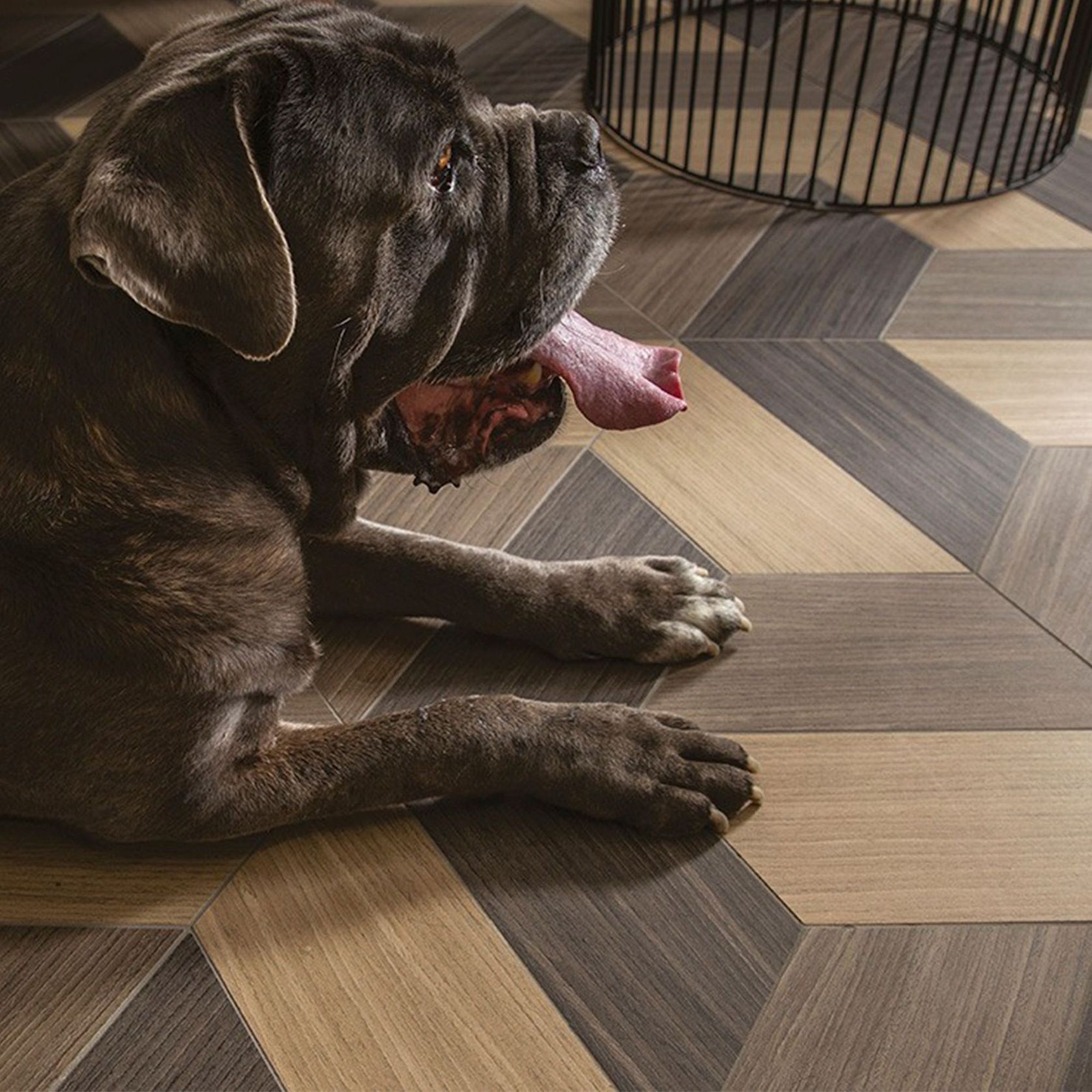 Nature Mood Floor & Wall Tile gallery detail image