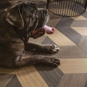 Nature Mood Floor & Wall Tile gallery detail image