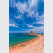 Sensi Colore | Porcelain Tiles gallery detail image