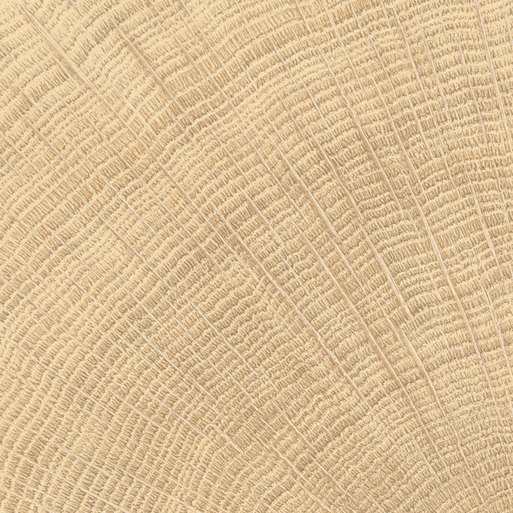 W-Circles Oak tile gallery detail image