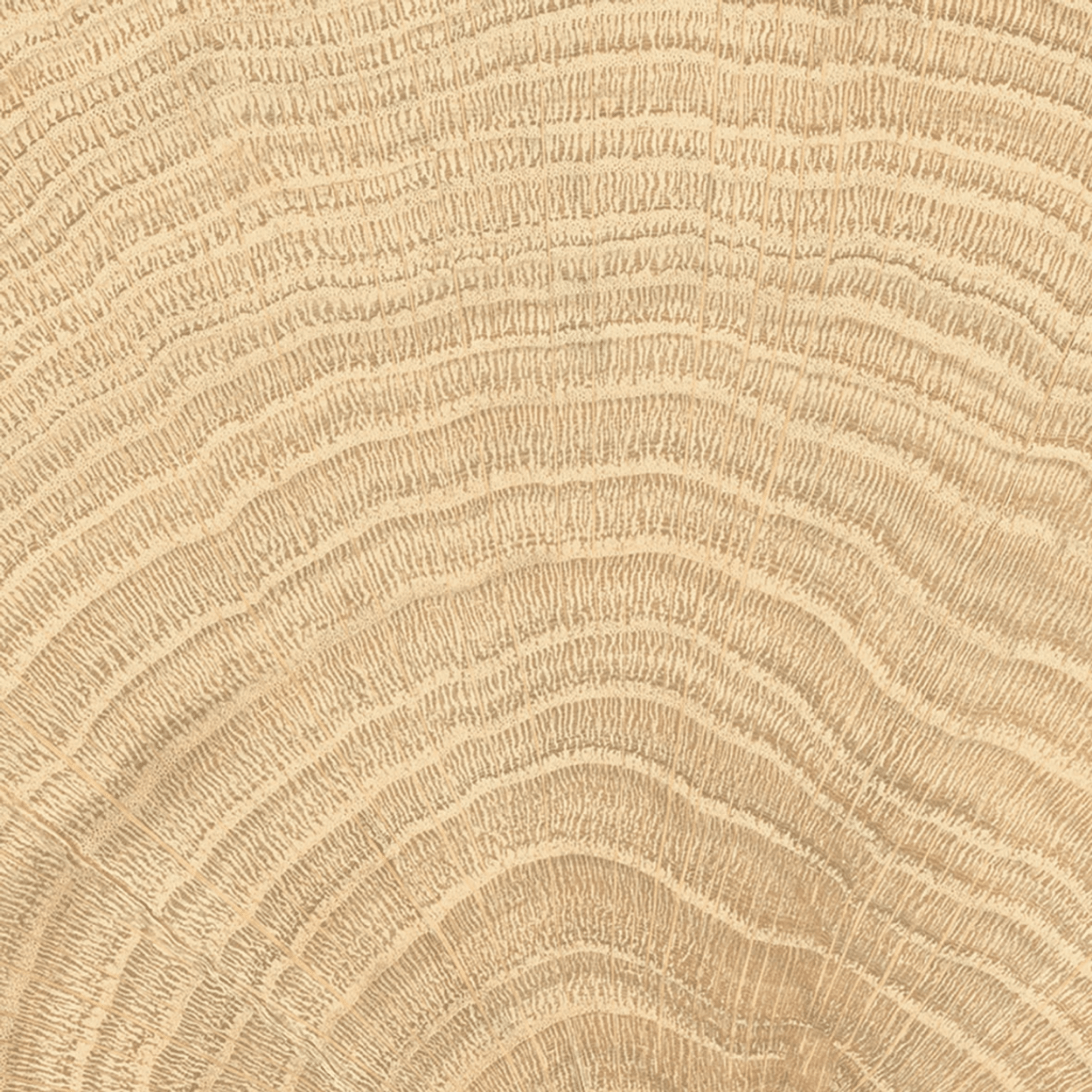 W-Circles Oak tile gallery detail image