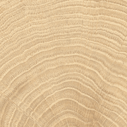 W-Circles Oak tile gallery detail image