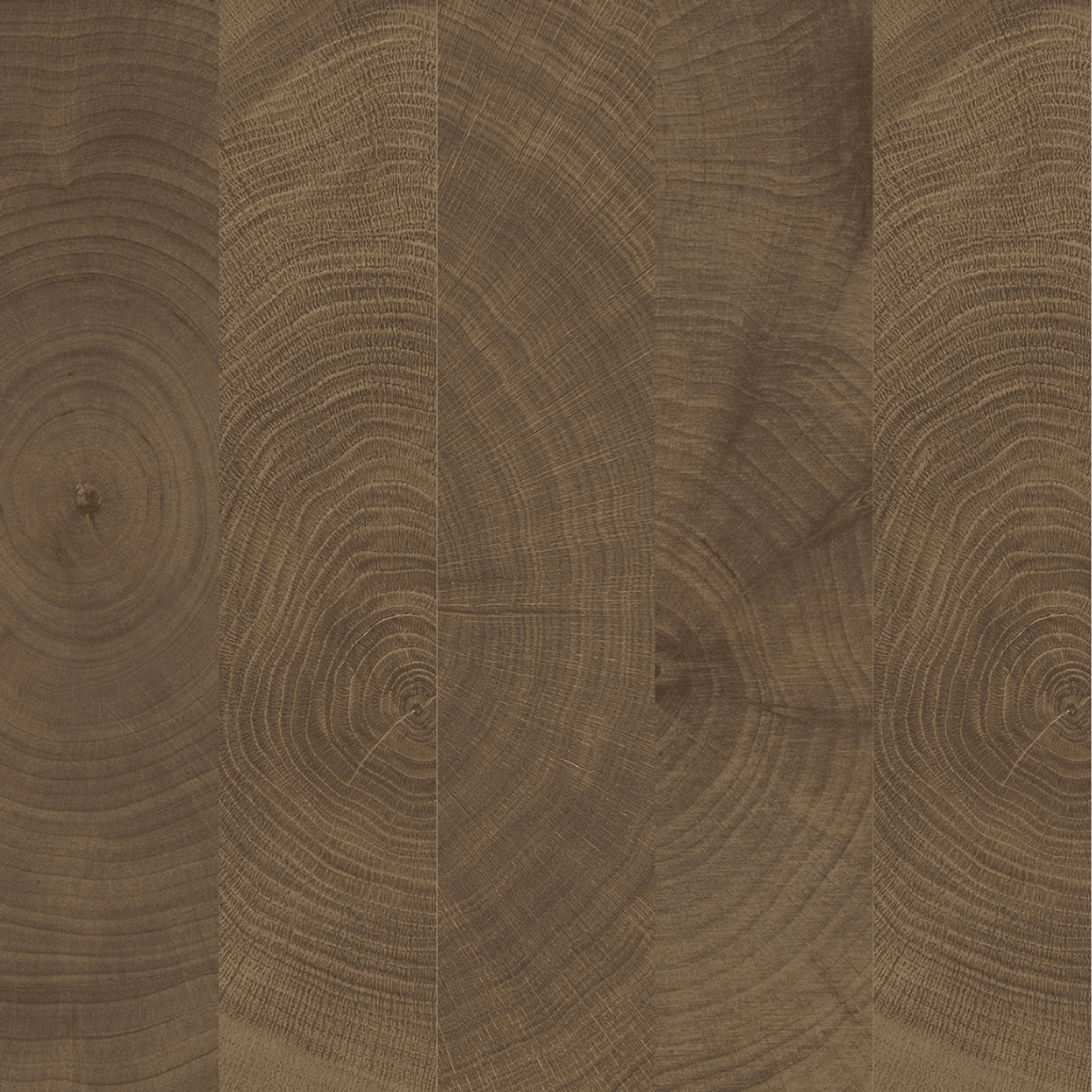W-Circles Wenge tile gallery detail image