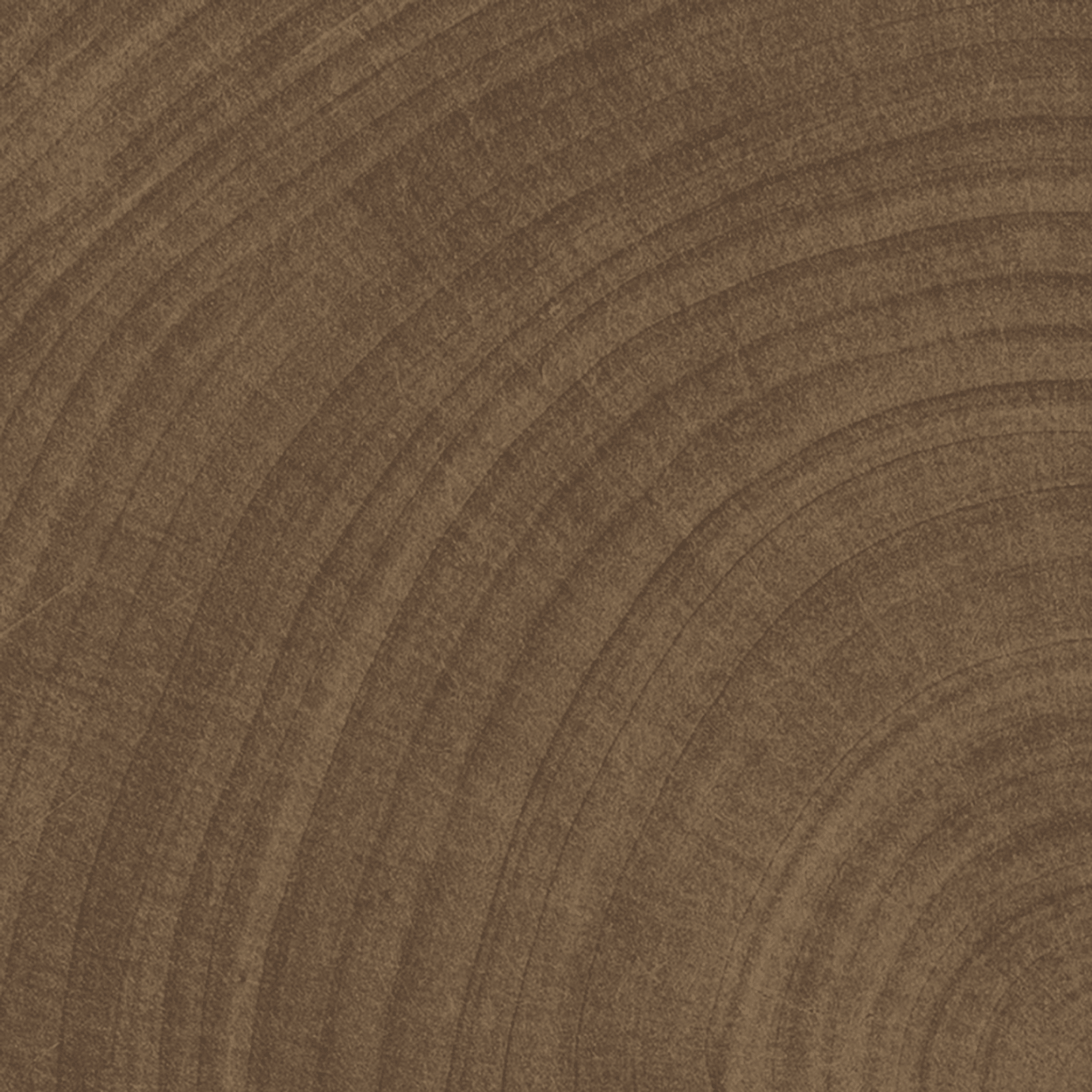 W-Circles Wenge tile gallery detail image