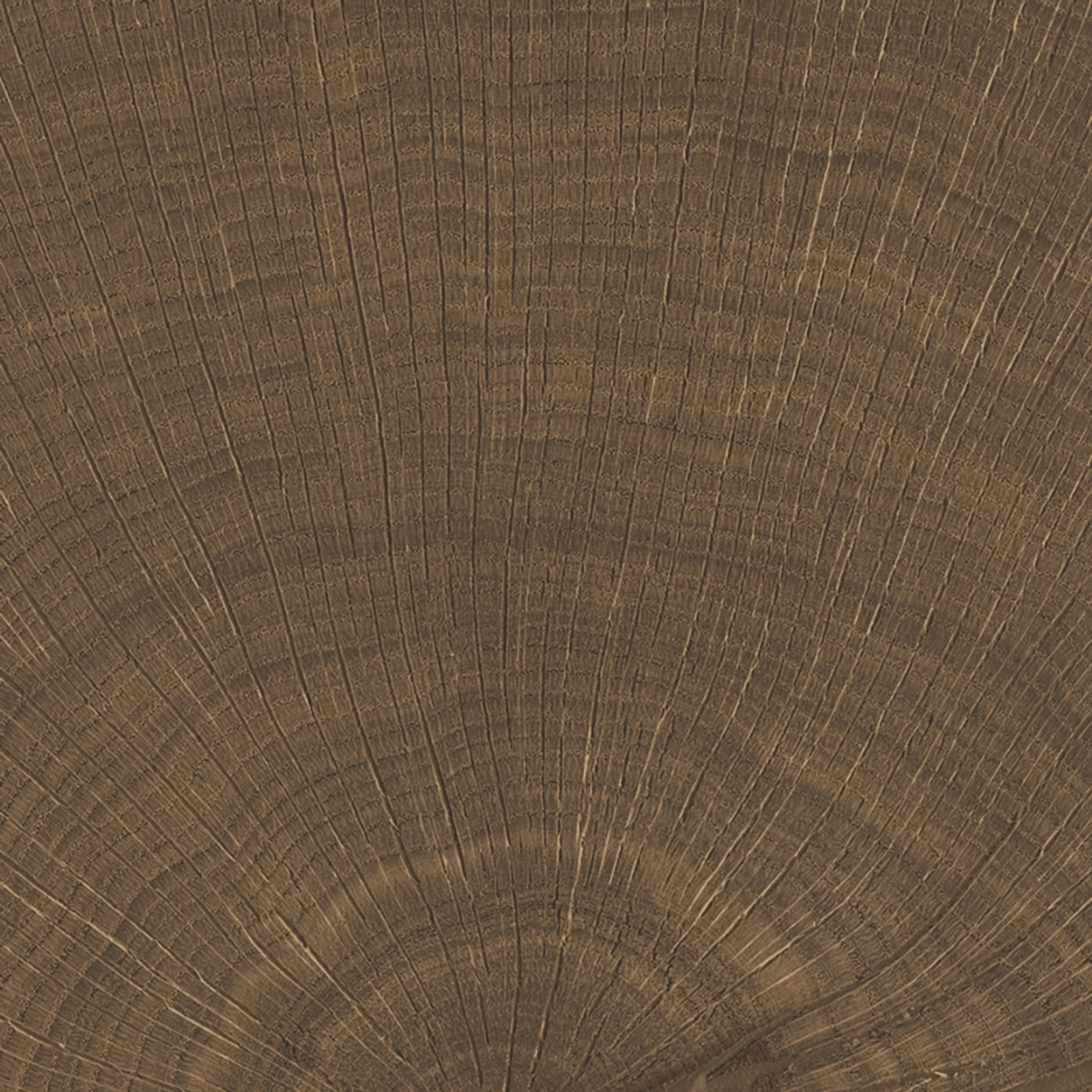 W-Circles Wenge tile gallery detail image