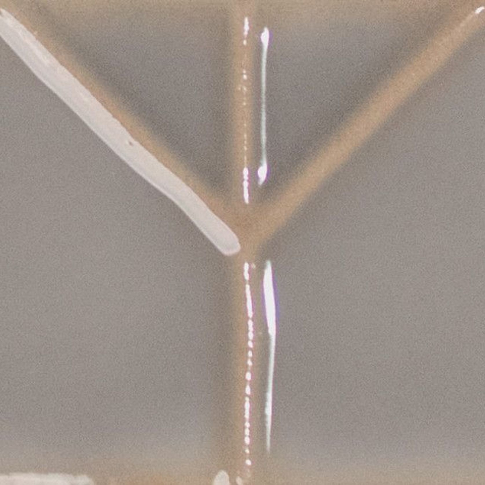 Yoko | Origami Pewter Gloss | 62x125 gallery detail image