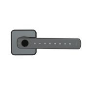 Rosé Biometric Digital Lever gallery detail image