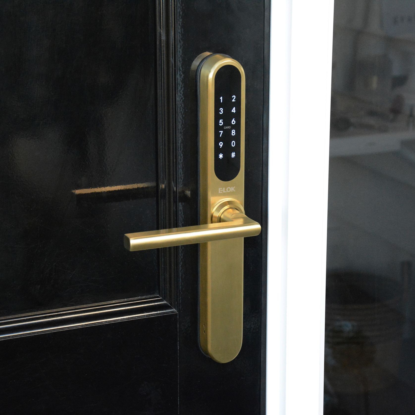 E-LOK 9-Series Smart Lock Integrated Wi-Fi gallery detail image