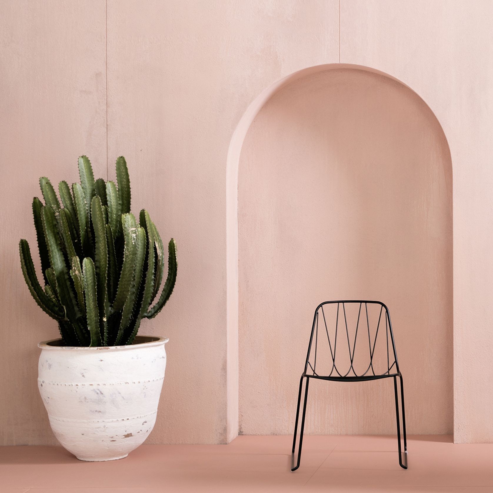 Chee | Dining Chair gallery detail image