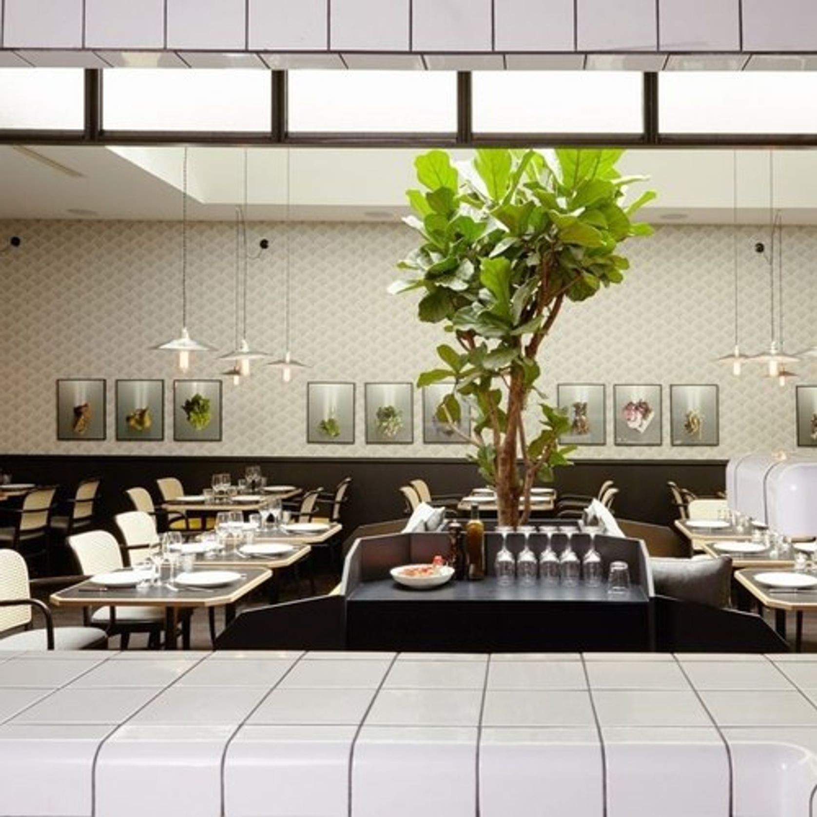 811 Hoffmann Chair by TON gallery detail image