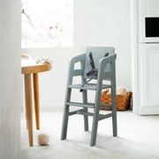 Rio Toddler High Chair | Sage gallery detail image